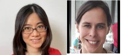 Overview of treatment for non-small cell lung cancer logo