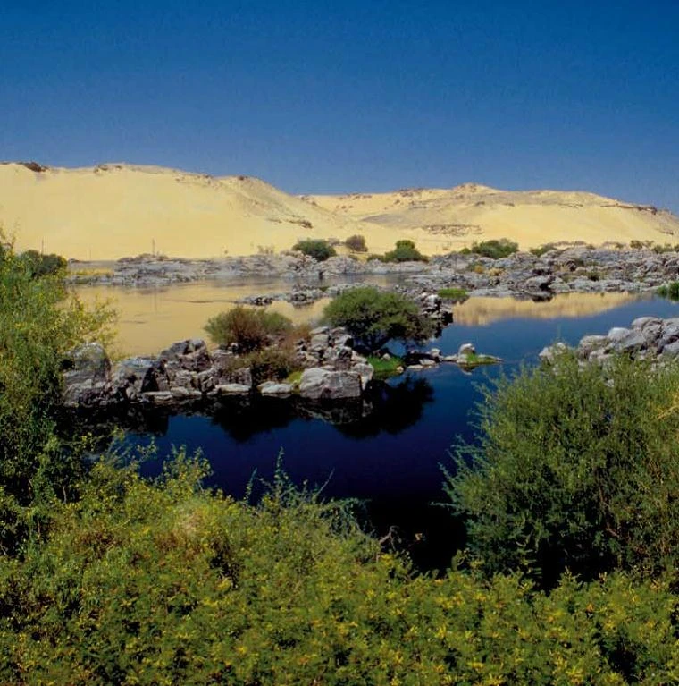 The status and distribution of freshwater biodiversity in Northern Africa logo