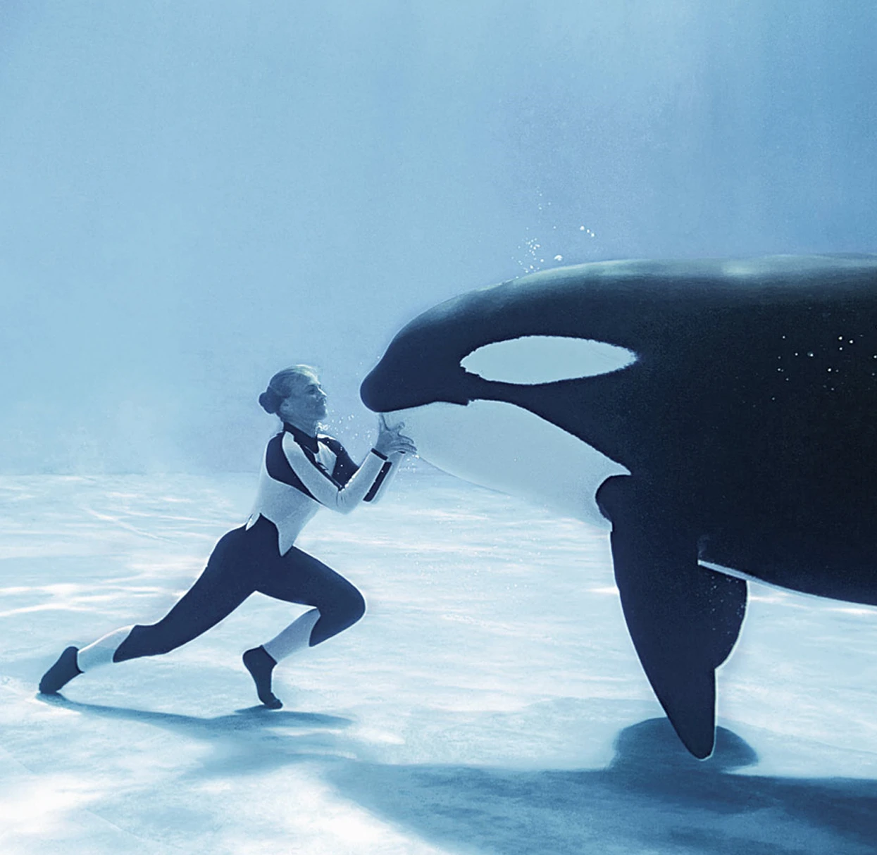 The evolution of menopause and human life history logo