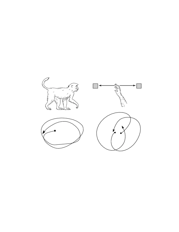 Conserved principles of movement generation logo