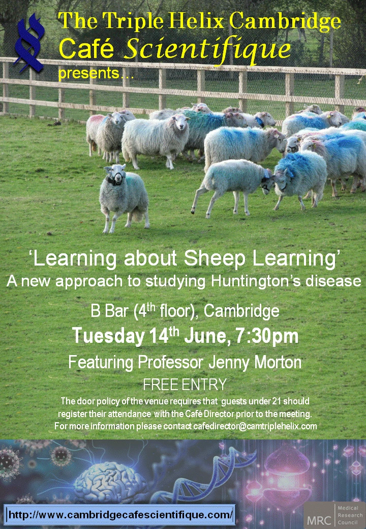 Learning about learning - a new approach to studying Huntington's Disease logo