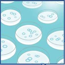 Exploiting bacteriophages for bioscience, biotechnology and medicine logo