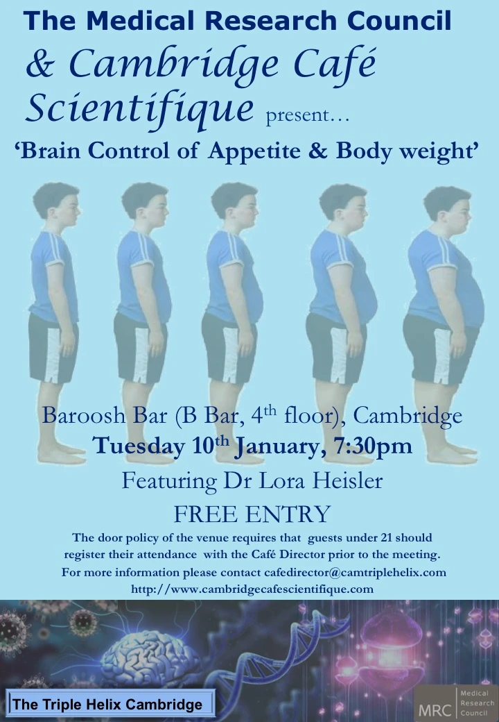 Brain control of appetite and body weight logo