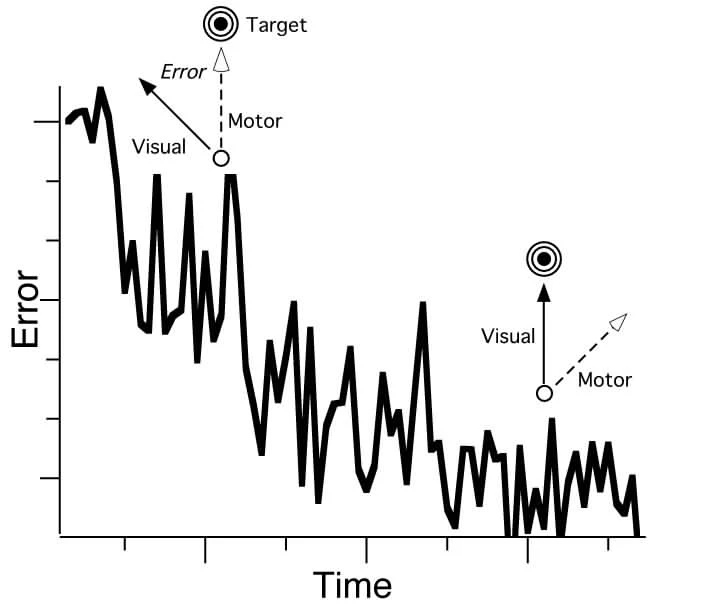 Learning and recall of visuomotor transformations logo