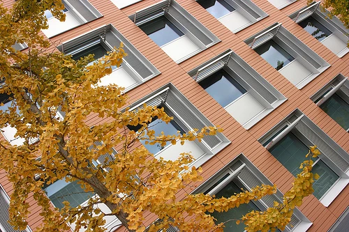 Syntactic change and information structure logo