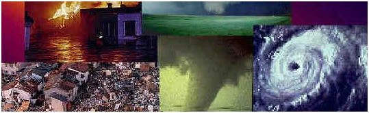 International Forum for Disaster Victim Identification  logo