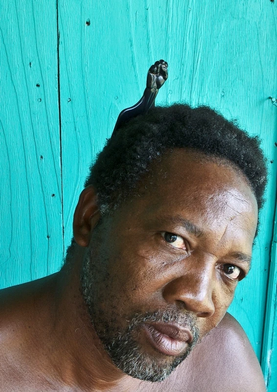 Natural hair past &amp; present logo