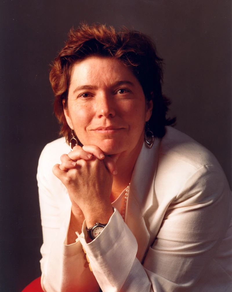 The Stratigraphy of Serendipity logo