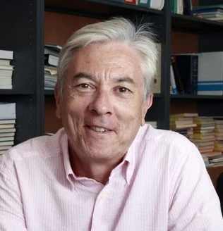 Diffusion in confined systems logo