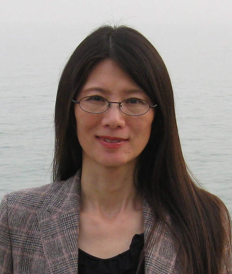 The Nature of Intellectual Styles: Challenges, Milestones and Research Agenda logo