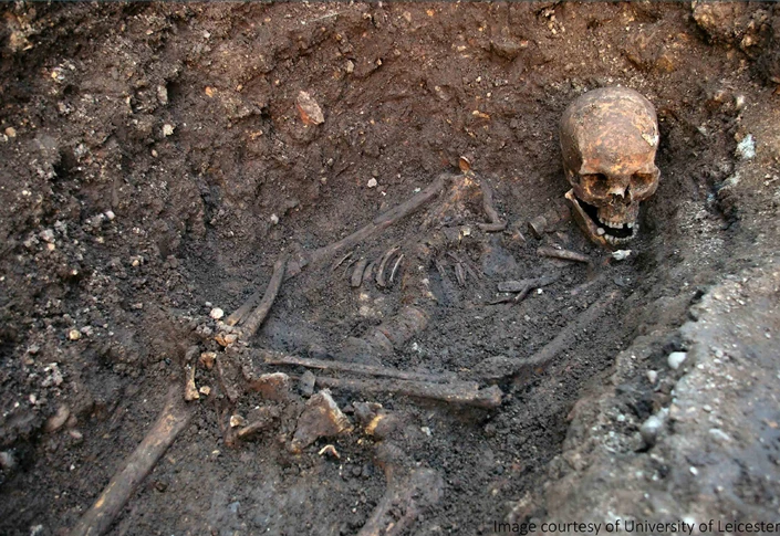 The Analysis of King Richard III logo