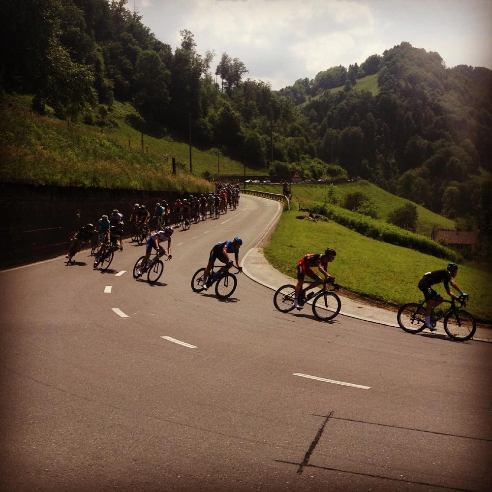 Fitness Meets Fitness: The Evolution and Genetics of Evolutionary and Physical Fitness in Humans logo