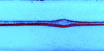 Experiments with internal solitary waves in stratified fluids logo