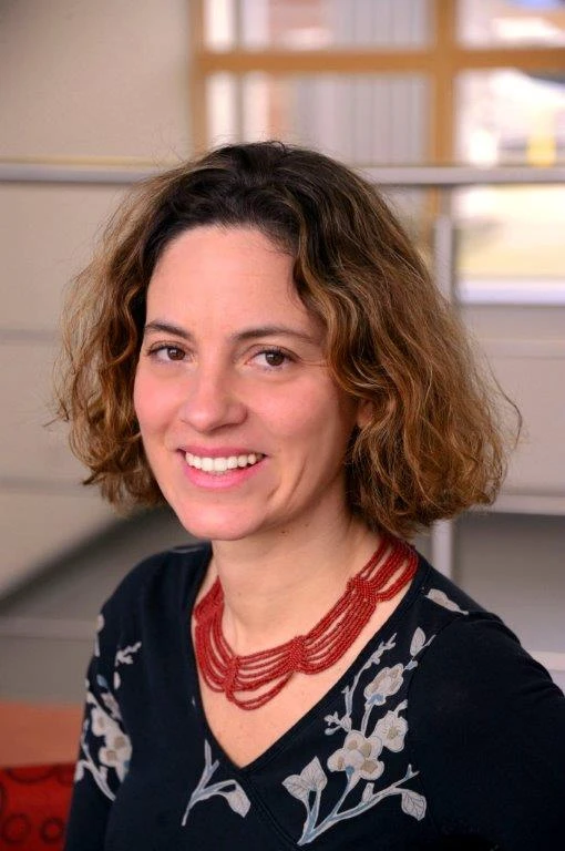 Noisy stress responses and their fitness consequences for C. elegans logo