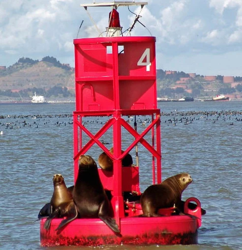 Molecular approaches to understanding California sea lion disease patterns logo