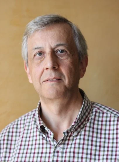 Stripe Phases in Quantum Dipolar Gases logo